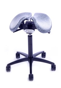 salli_multi_elephantblackbase_clear_197